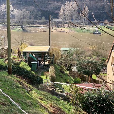 Haus Bergfriede Hotell Bad Schandau Exteriör bild