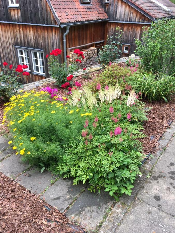 Haus Bergfriede Hotell Bad Schandau Exteriör bild